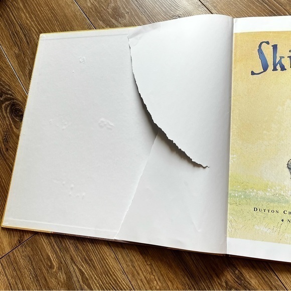 Skippy Jon Jones Teachers Edition Oversized Hardcover Book by Judy‎ Schachner - Picture 2 of 7